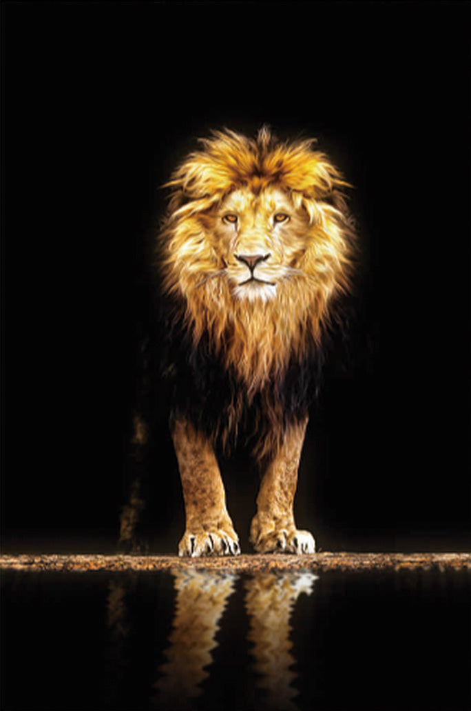 GOLDEN LION - Art Print